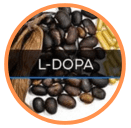 l-dopa